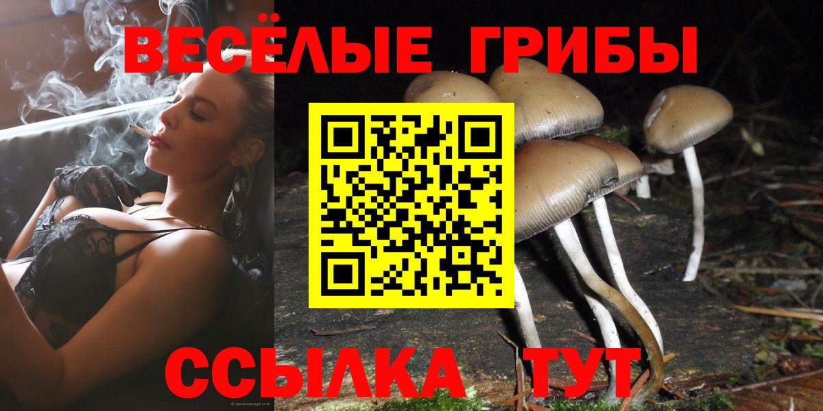 Псилоцибиновые грибы Magic Shrooms  Вход с VPN  Новошахтинск 